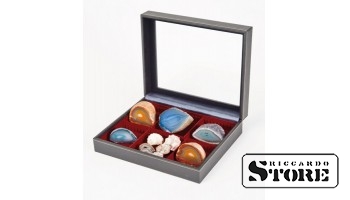 Numismatic case NERA VARIUS PLUS with a dark red tray and 2 compartments that can be divided into smaller sections